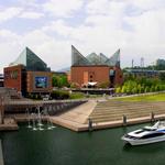 The Tennessee Aquarium