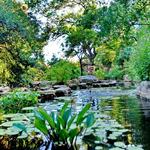 Zilker Botanical Garden