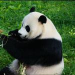 Smithsonian National Zoological Park