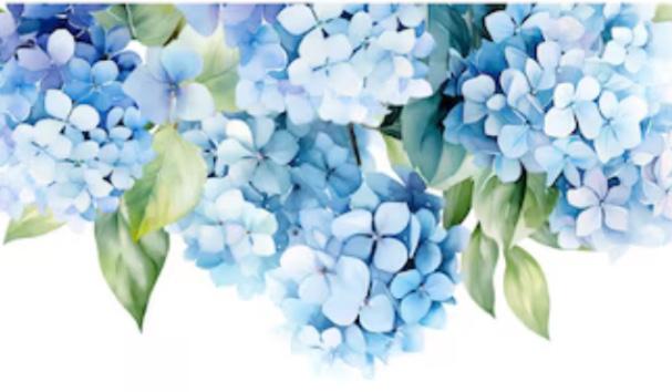 The Wedding Website of Kiley Hubbard and Richard Cardwell