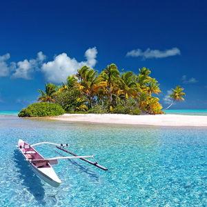 Honeymoon Fund