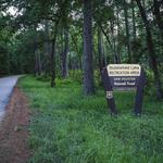 Sam Houston National Forest