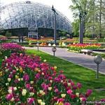 Missouri Botanical Garden