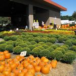 North Carolina State Farmers Market