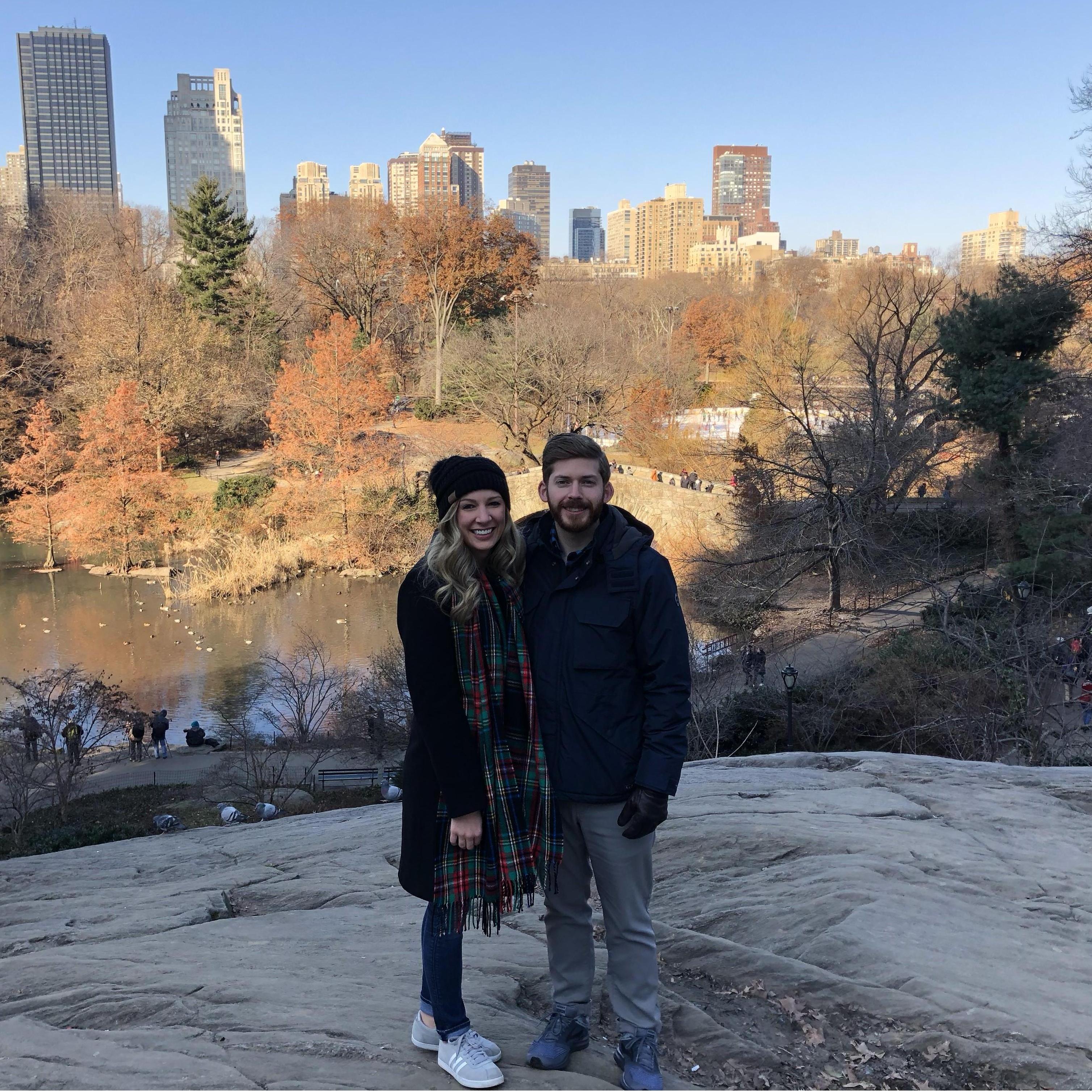 Central Park in New York City. December 2018