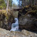 Winner Creek Trail