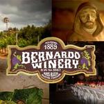 Bernardo Winery