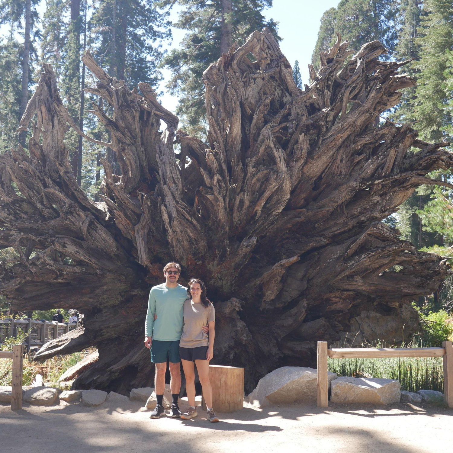 YOSEMITE! NP! Fall 2024