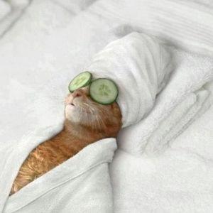 Relaxing Massage Before The Wedding for 2