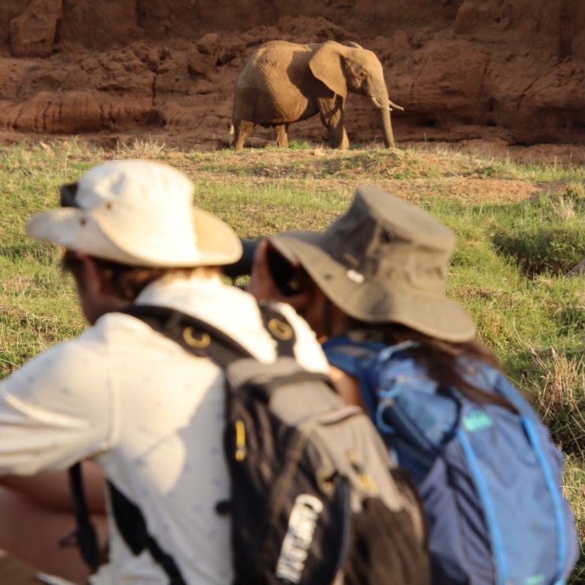 Spotting ellies during a riverwalk in Kenya.