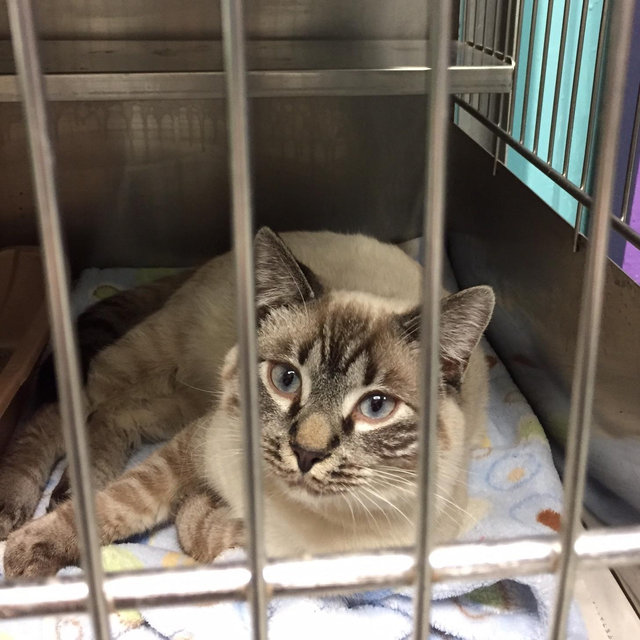 Animal Shelter Donations Cash Fund