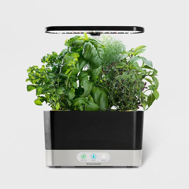 Harvest Planter Black - AeroGarden