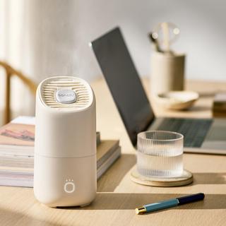 Portable Humidifier