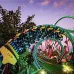 Busch Gardens Tampa Bay