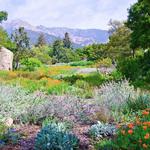 Santa Barbara Botanic Garden