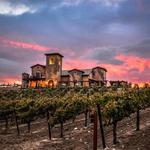 Temecula Wineries