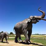 Lubbock Lake National Historic Landmark