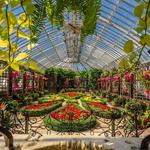 Phipps Conservatory and Botanical Gardens