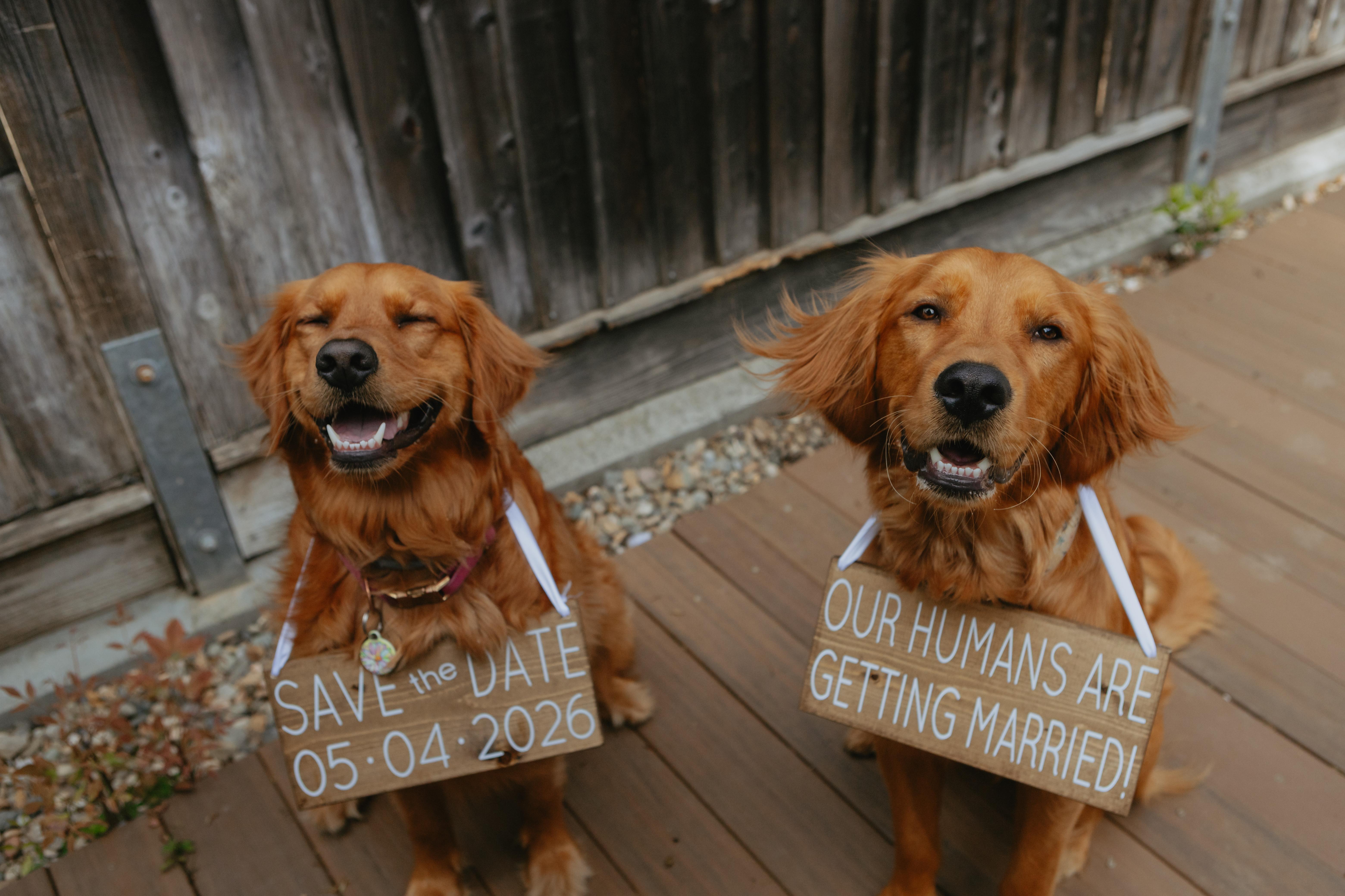 The Wedding Website of Nicole Splees and Austin Bovée