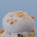 Mount Desert Island Ice Cream
