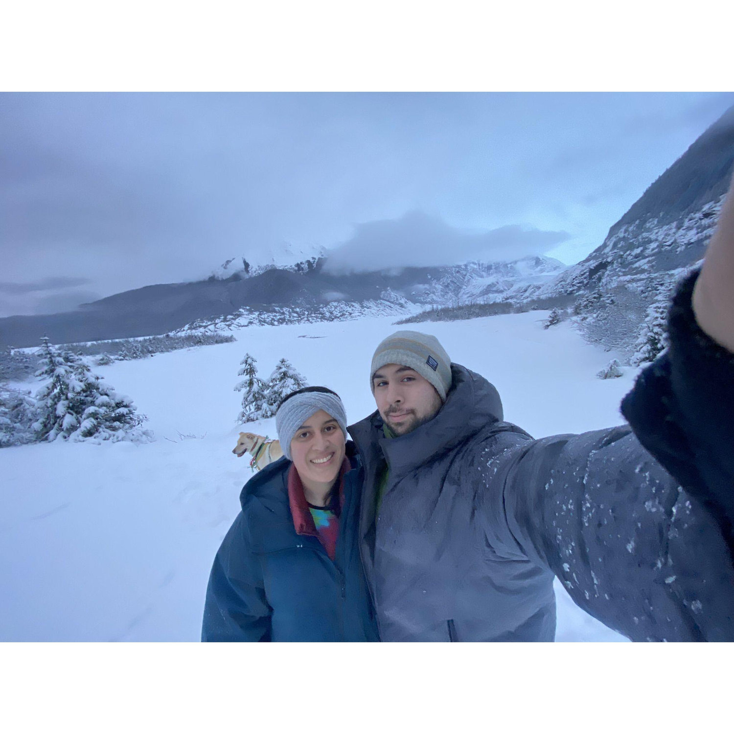 Winter wonderland