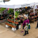 Eugene Saturday Market