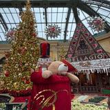Bellagio Conservatory & Botanical Gardens