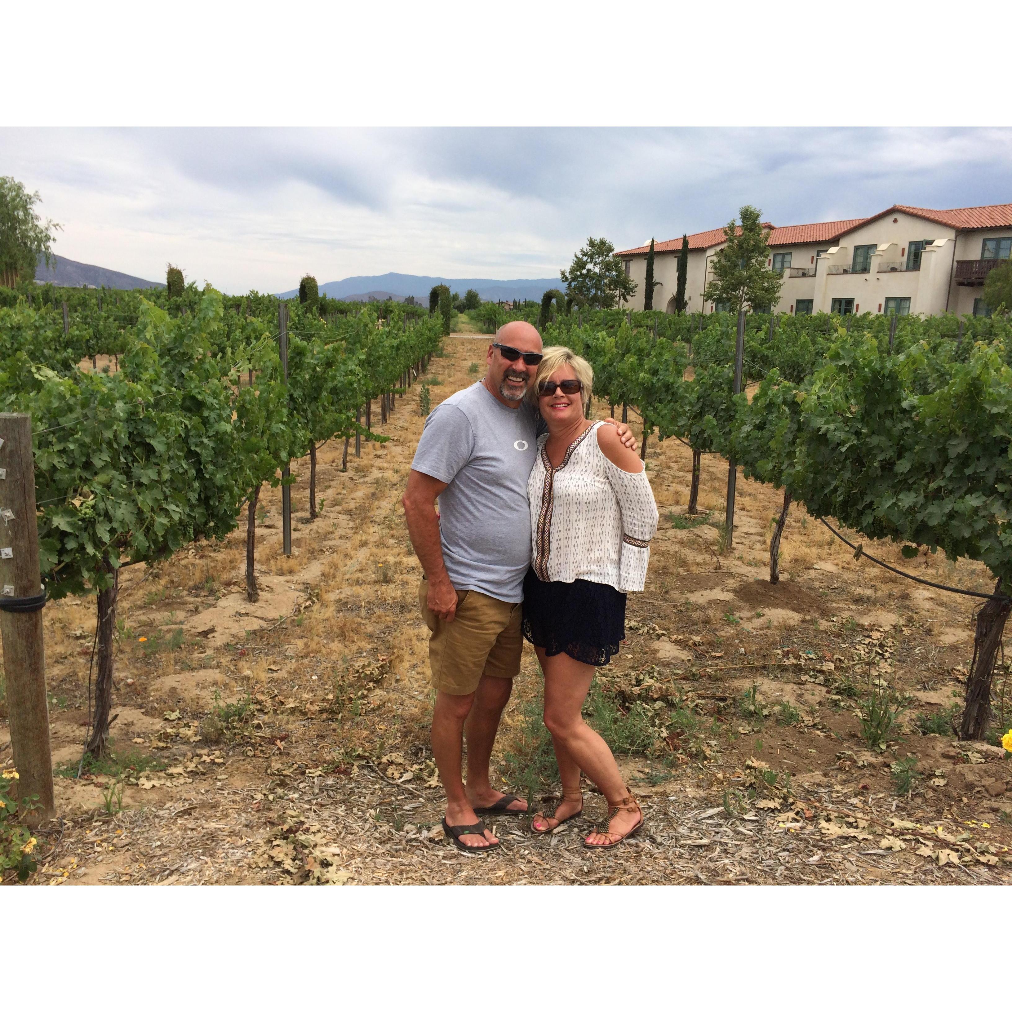 Wine Country in Temecula Ca