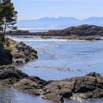 Shark Reef Sanctuary
