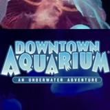 Houston aquarium