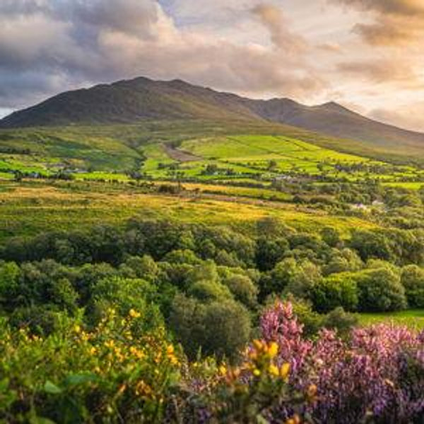 Ireland Honeymoon Fund 🇮🇪