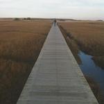 The Sandwich Boardwalk