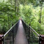 Lullwater Preserve