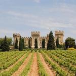 Domaines Mousset - Winery in Châteauneuf-du-Pape
