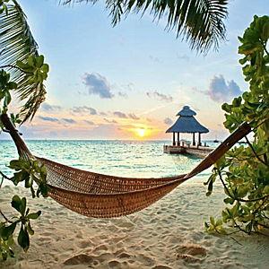 Honeymoon Fund