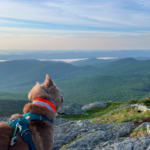 Camels Hump