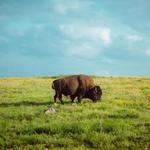 Wichita Mountains Wildlife Refuge Visitor Center