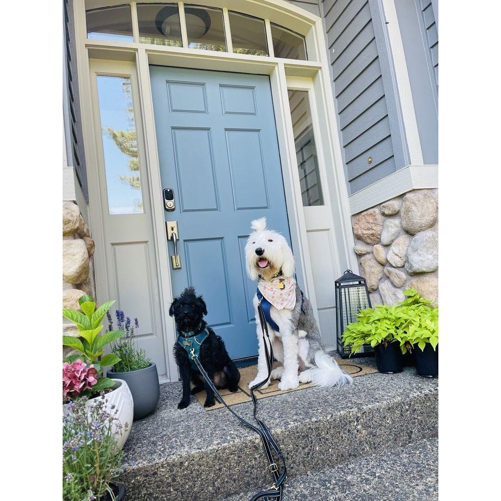 Elinor and Elvis's fist photo shoot at the new house!