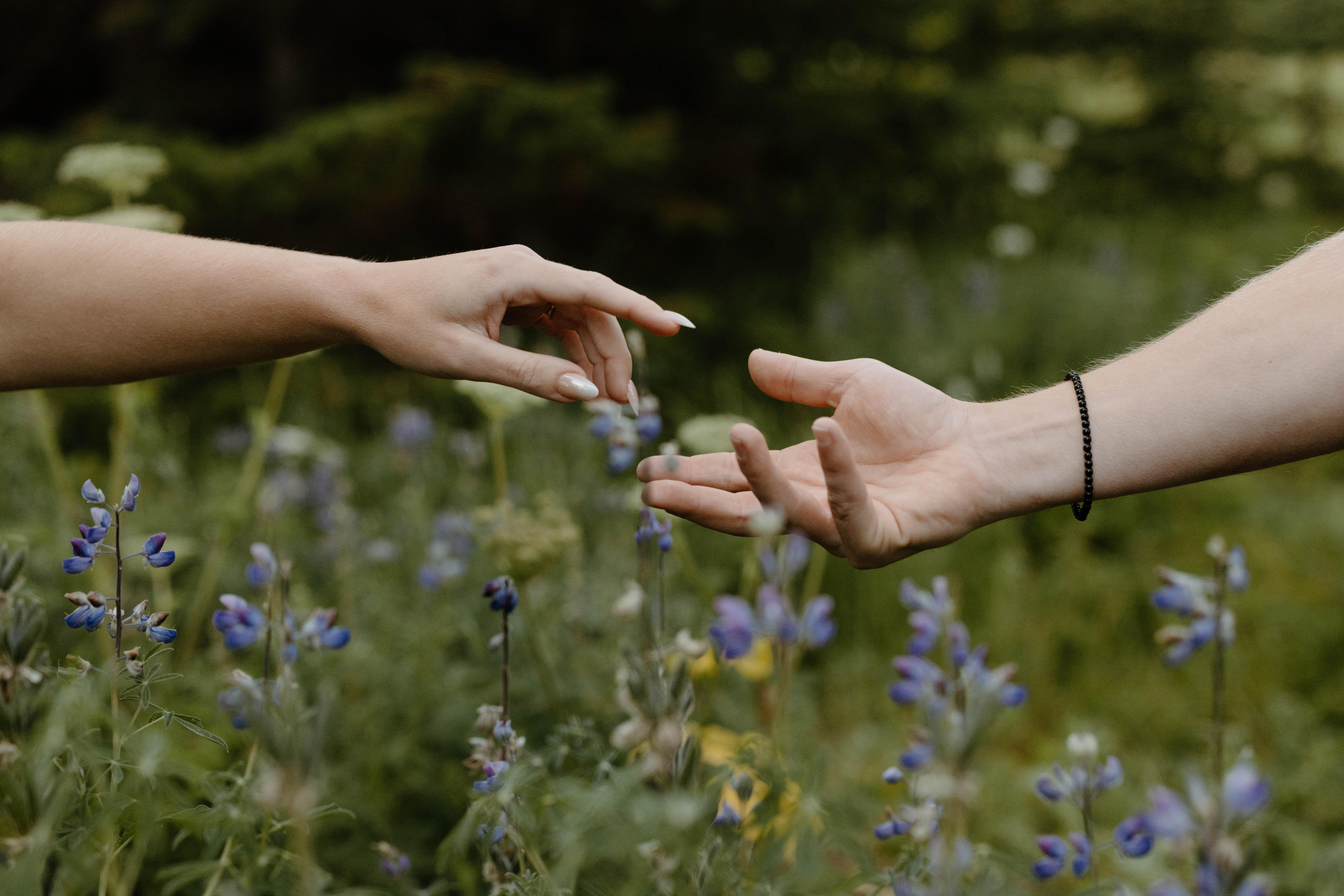 The Wedding Website of Baylee Williams and Michael Zubach