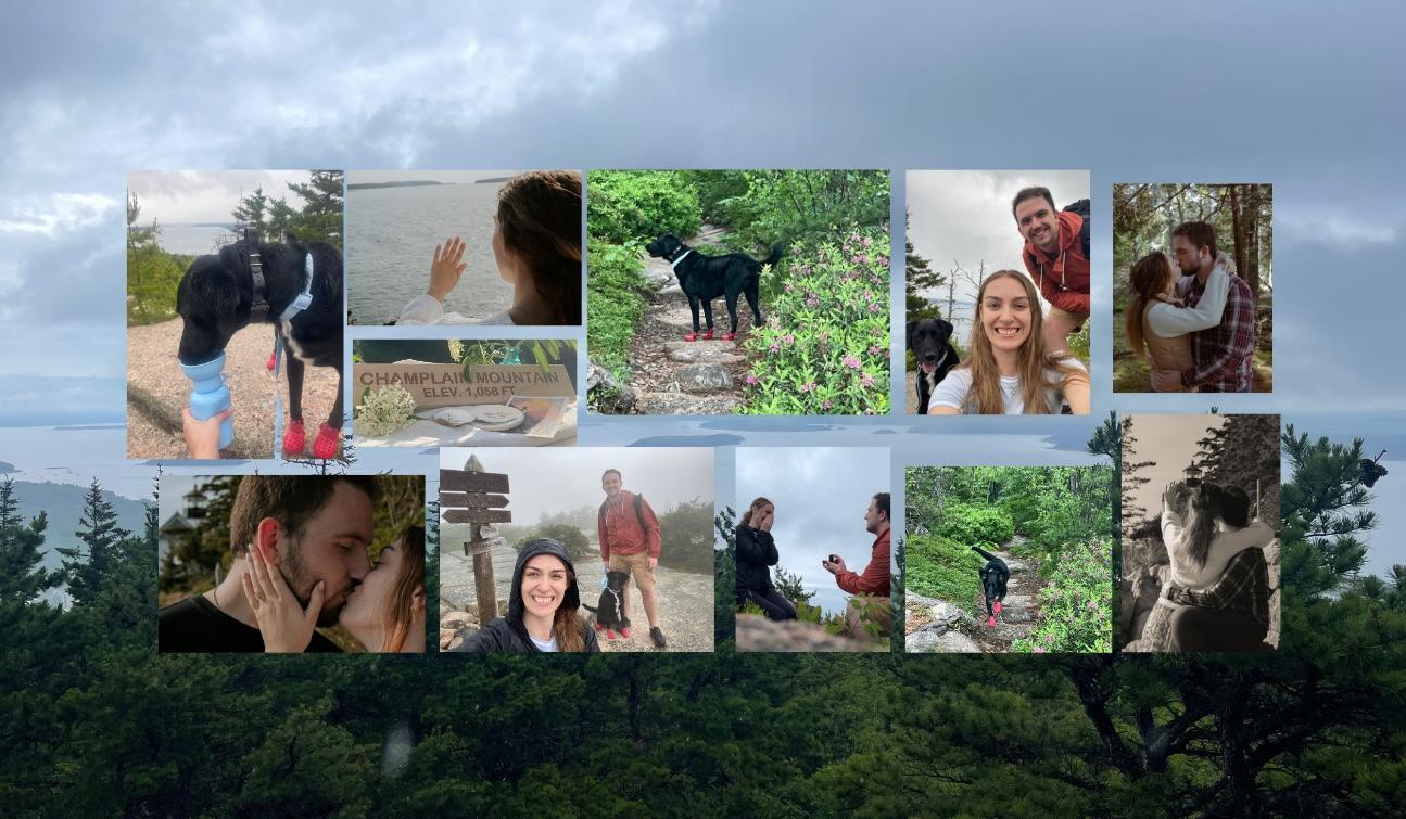 bfbda8f7-d767-466e-a0ef-5f66cbf4d37b