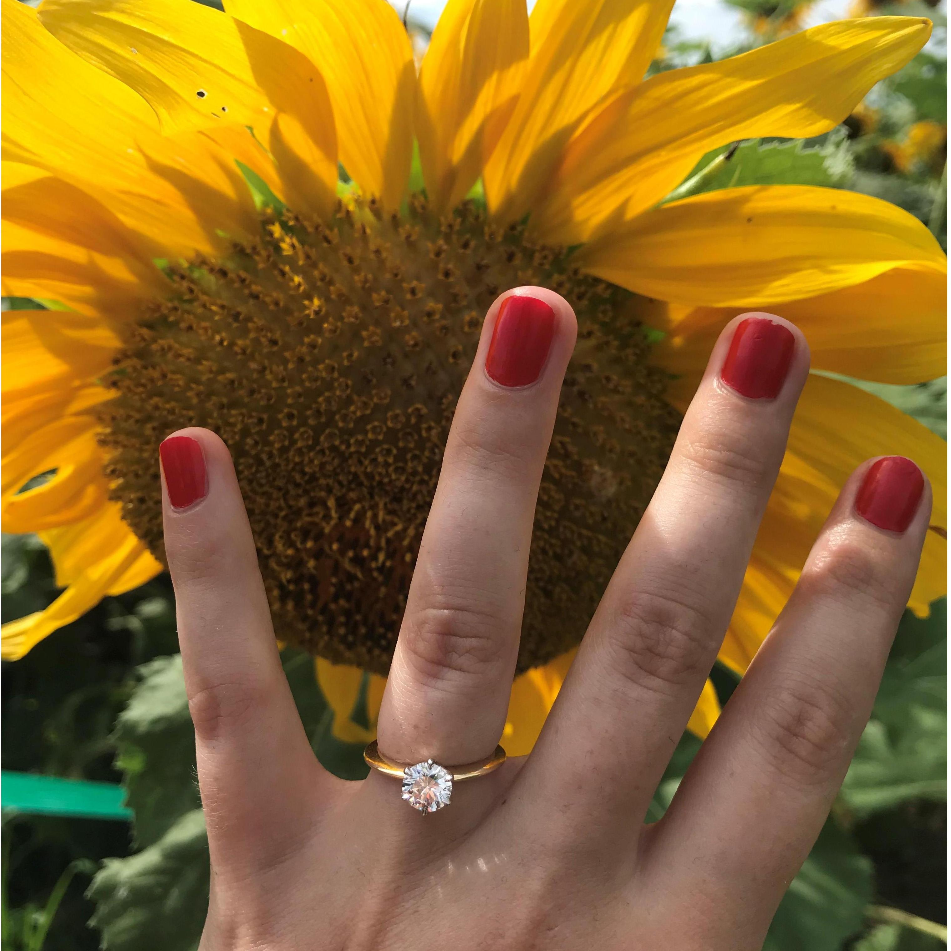 I didn't think I could love sunflowers any more until Sam proved me wrong. July 21, 2019