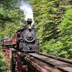 The Skunk Train