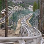 Gold Runner Coaster