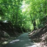 Clarksville Greenway