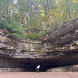 Dunbar Cave Trailhead