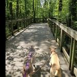 Shelby Park