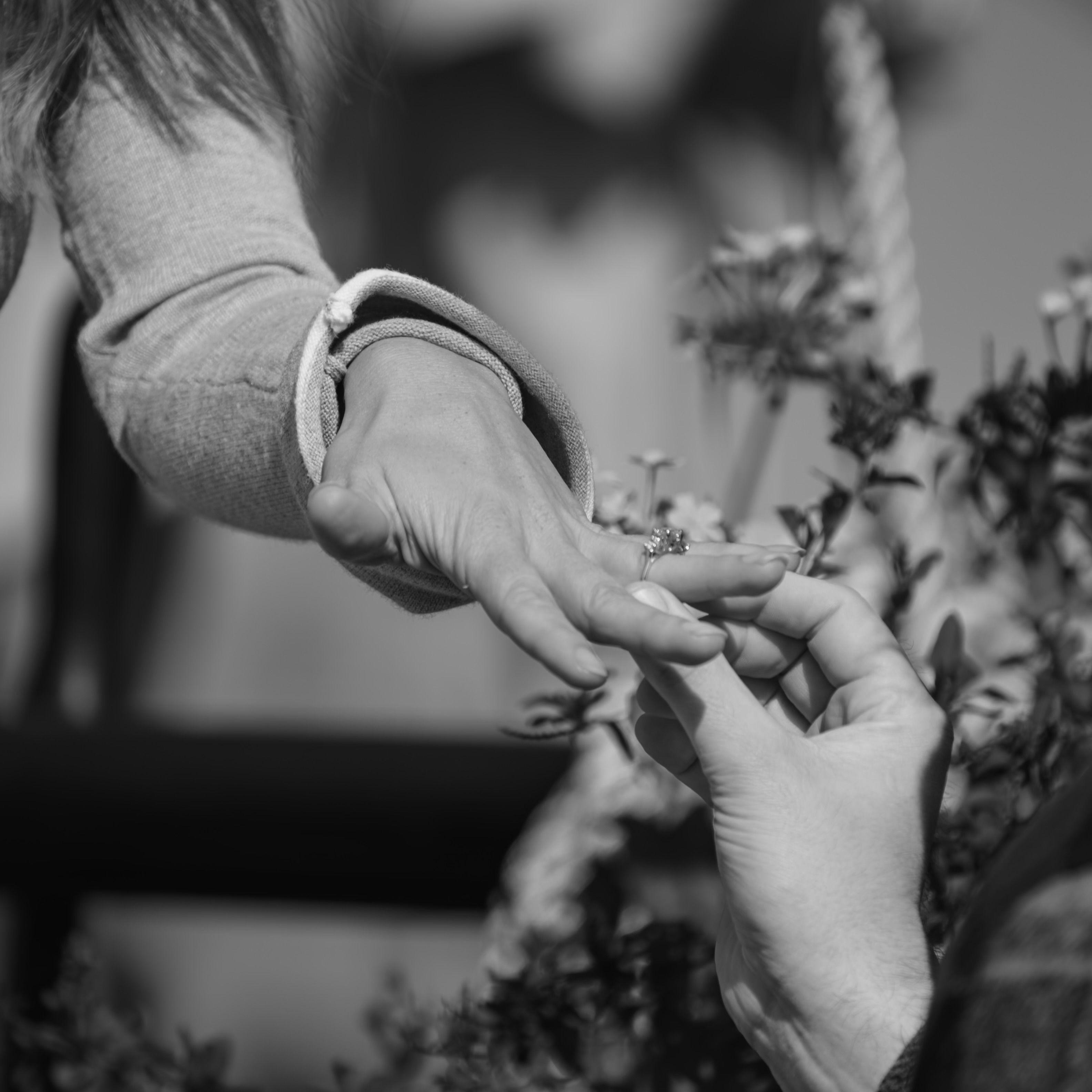 Hero Slideshow Image 2