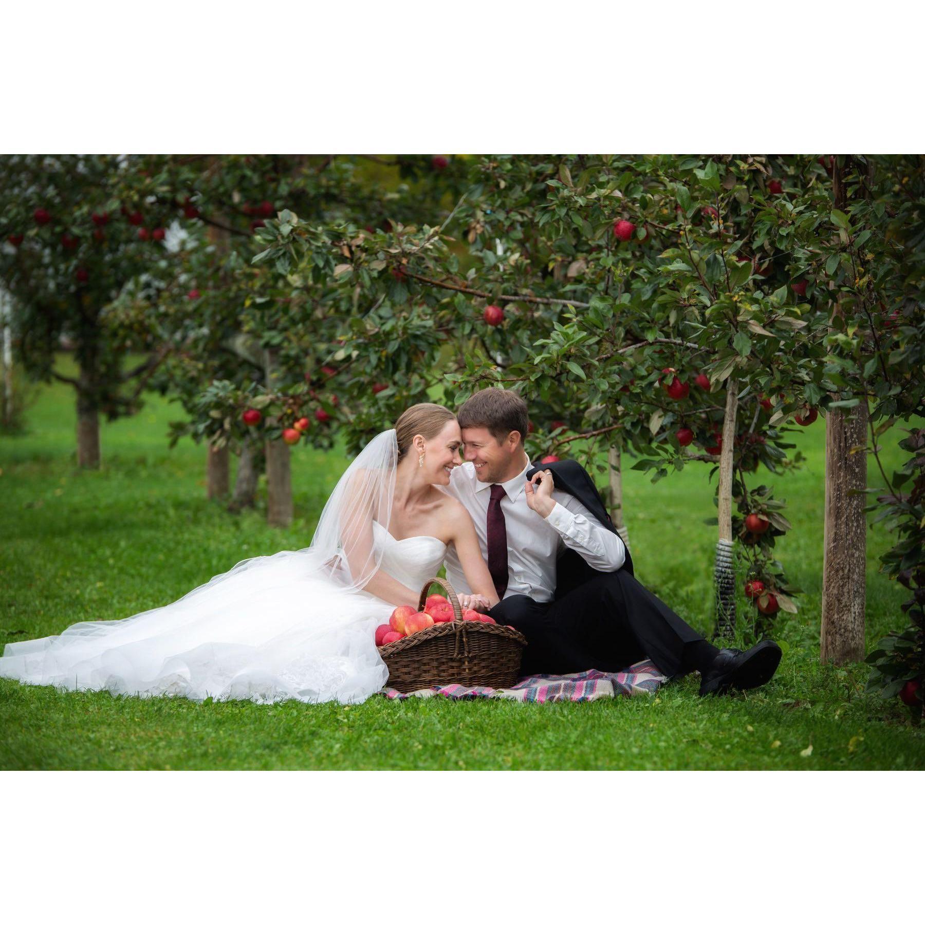 Fideldy's orchard
