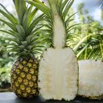 Hole in the Mountain Farm - Kauai Sugarloaf Pineapple