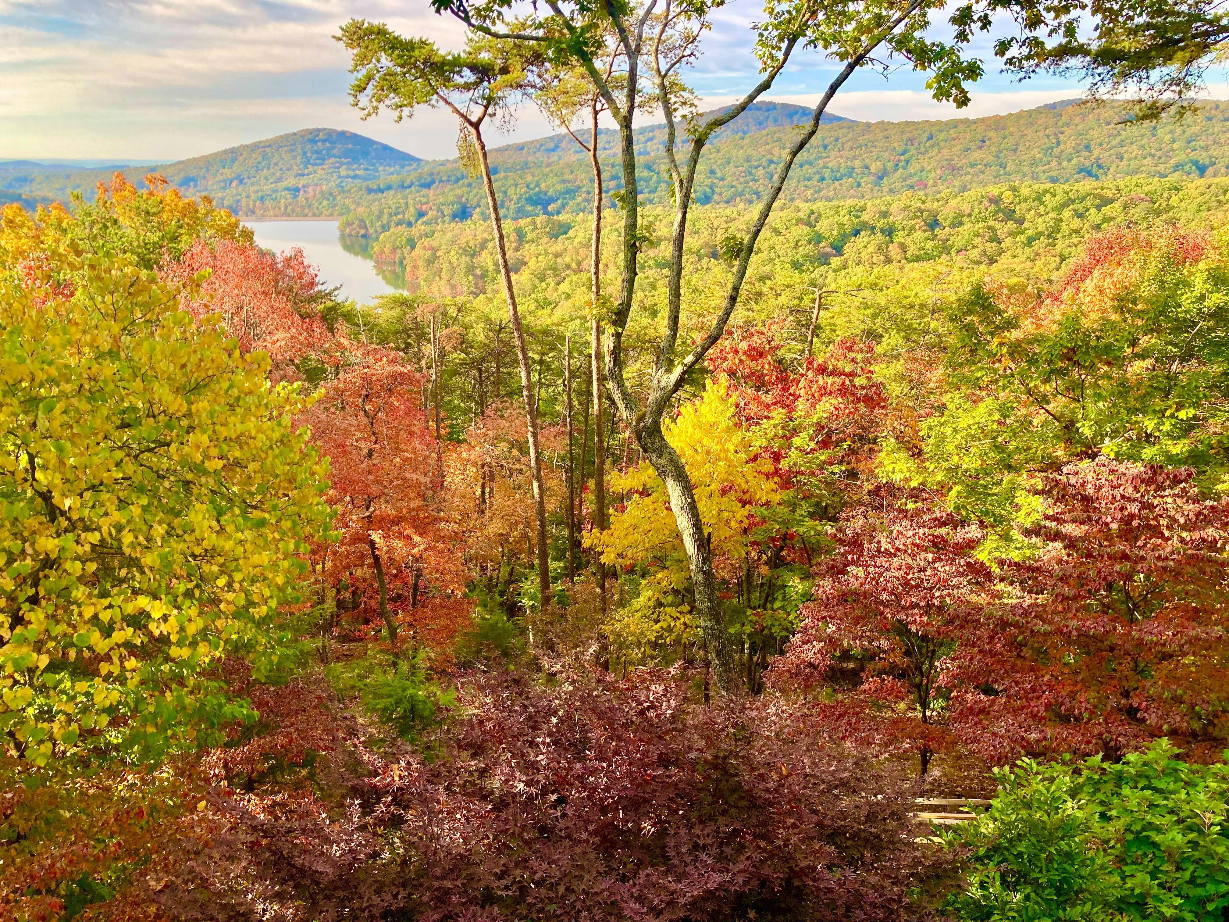 The Wedding Website of Lisa Hensley and Raymond McFarlane